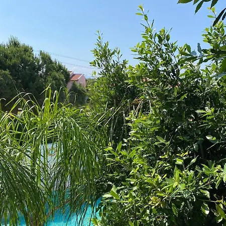 Flora Boheme Butik Hotel *