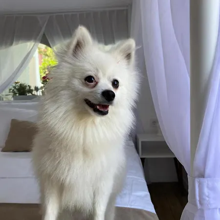 Flora Boheme Butik Hotel Cesme