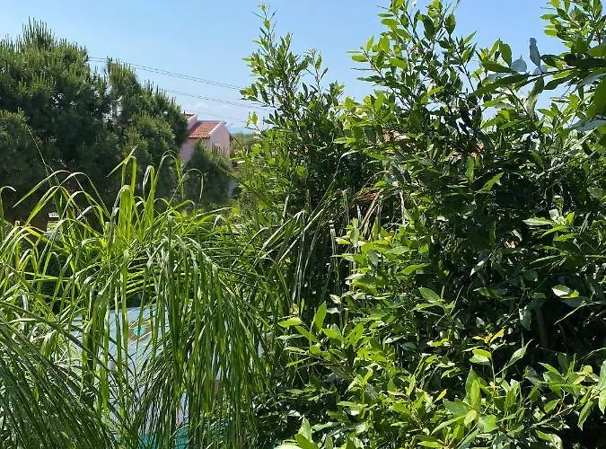 Flora Boheme Butik Szálloda 5*